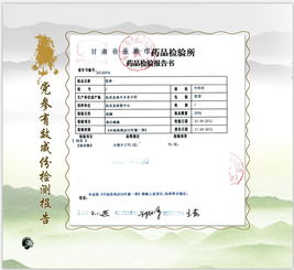 張掖民樂縣 守正創新筑基石，嚴把質量兩道關